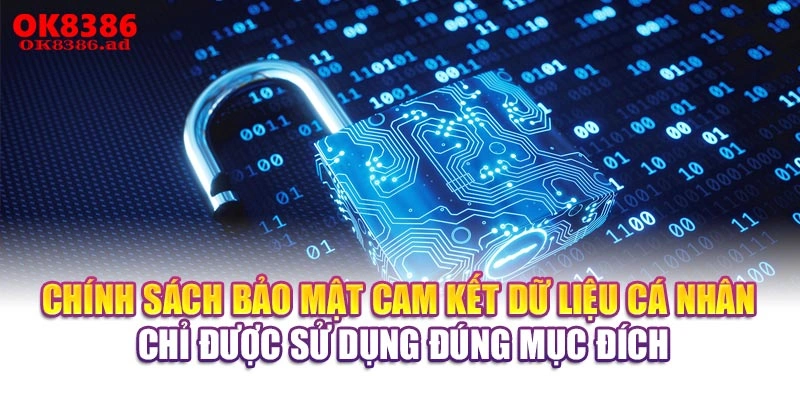 Chính sách bảo mật cam kết dữ liệu cá nhân chỉ được sử dụng đúng mục đích