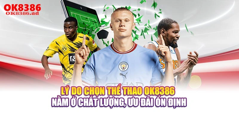 Lý do chọn thể thao OK8386 nằm ở chất lượng, ưu đãi ổn định