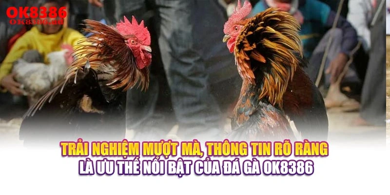 Trải nghiệm mượt mà, thông tin rõ ràng là ưu thế nổi bật của đá gà OK8386