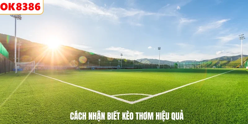 Cách nhận biết kèo thơm hiệu quả