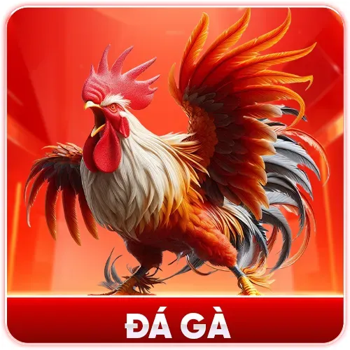 ĐÁ GÀ OK8386