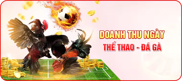 Doanh thu ngày đá gà