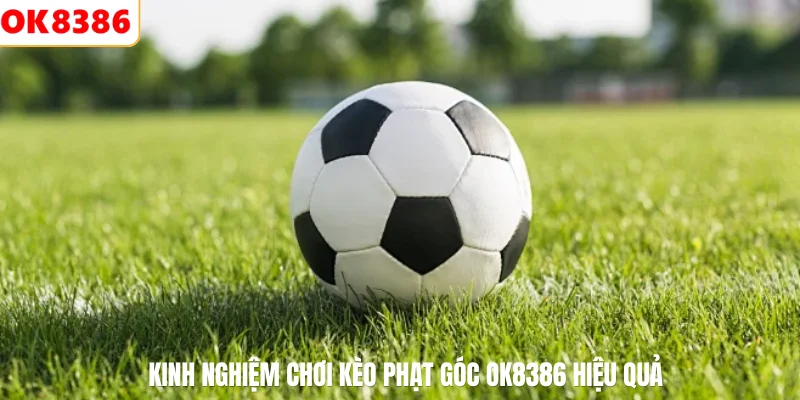 Kinh nghiệm chơi kèo phạt góc OK8386 hiệu quả