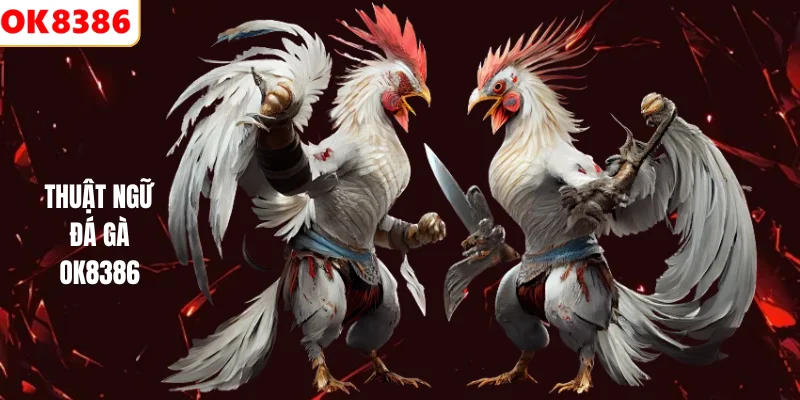 Thuật ngữ đá gà OK8386